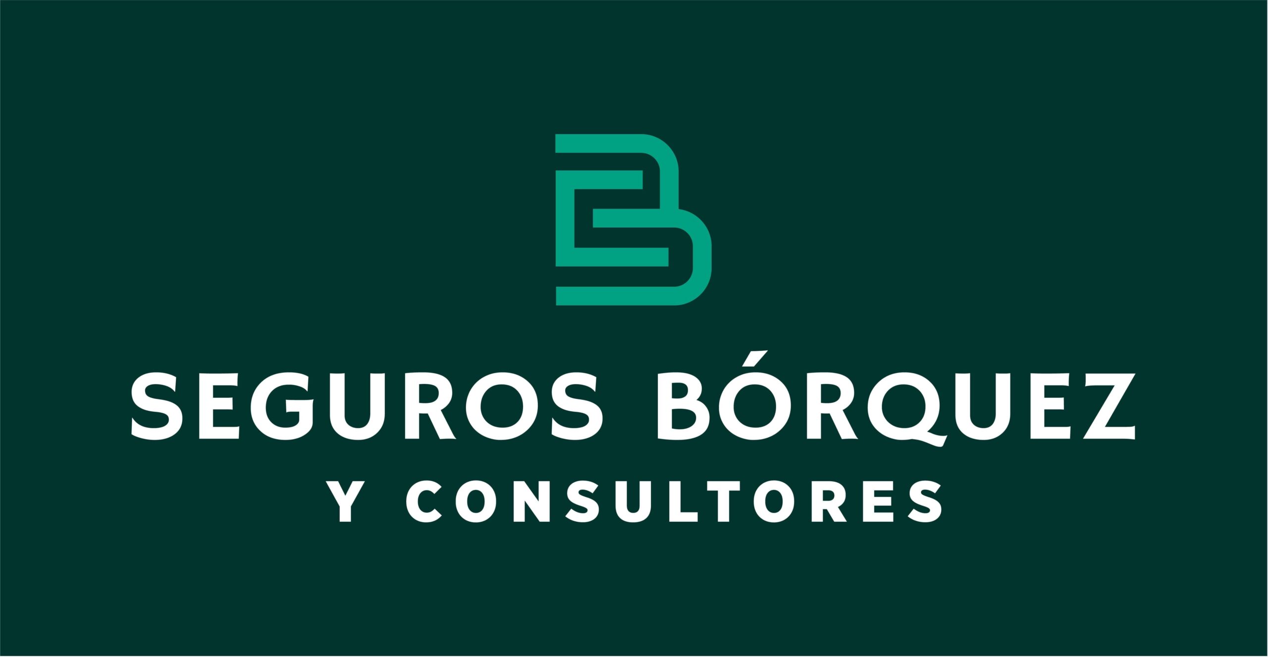 Seguros Bórquez y Consultores